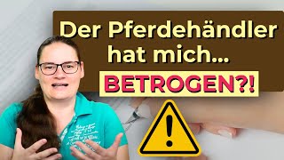 Die ungeschönte Wahrheit über Verhaltensänderungen nach dem Pferdekauf [upl. by Reldnahc822]