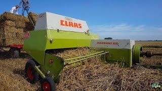 Tarwestro persen met CLAAS Markant 65 Op de Heegswal [upl. by Winzler]