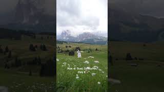 Alpe di Siusi Dolomites Italy 🇮🇹 italia dolomites italy summer shorts [upl. by Milah]