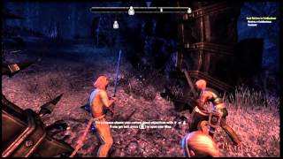 ESO  How to Complete quotDestroy a Coldharbour Sentinelquot Quest Fix Complete Full Walkthrough 1080p HD [upl. by Ahsirtal746]