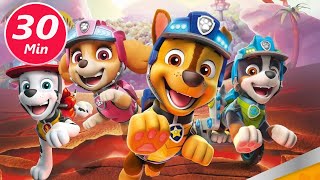 30 Minutes PAW Patrol Rescue World Skye in Adventure Bay [upl. by Berfield]