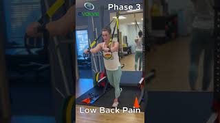 Advanced TRX Superman Wonder Woman Improving Spine amp Shoulder Stability for Low Back Pain Rehab [upl. by Ciel181]