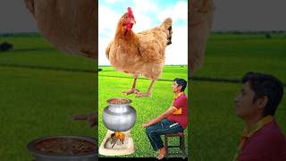 ahwarun ahwarun new Islamic song full episode 78 islamicvideo animals shorts لايك [upl. by Leonore458]