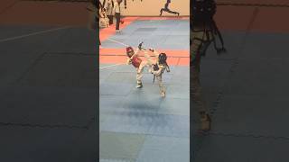 taekwondo karate martialarts poomsae mma tkd judo blackbelt sports kickboxing acrobatics [upl. by Eudosia]