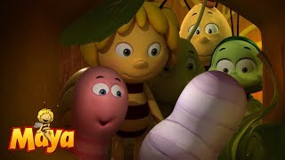 🍯🌹🌻 Bee Day  Maya the bee 🌻🌹🍯 [upl. by Markus]