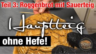 Teil 3 Brotteig fertig machen und backen  Roggenbrot mit Sauerteig und Altbrot Recyceling [upl. by Ynnod]