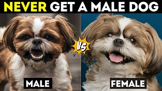 Male vs Female Dogs Behavioral Differences Explained [upl. by Parhe]