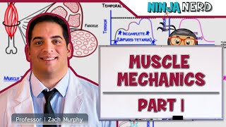 Musculoskeletal System  Muscle Mechanics  Twitch Summation amp Tetanus [upl. by Farrel812]