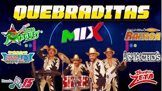 Quebradita Mix De Los 90 Exitos  El Mexicano Banda Machos Maguey Banda Zeta Banda Toroy Mas [upl. by Eimak]