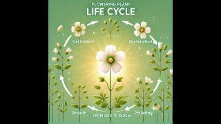 1 FLOWERING PLANTS VS NONFLOWERING PLANTS [upl. by Jacoby]