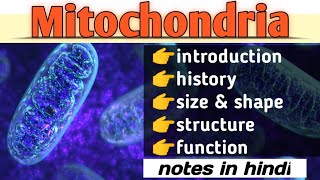 mitochondria structure and function in hindi  cell biology bsc biology [upl. by Ytissac951]