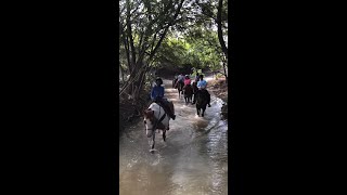 The Riding Academy at Benbrook Stables [upl. by Hoffman]