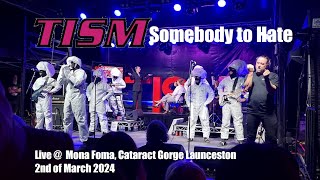 TISM  Somebody to Hate Live  Mona Foma 2nd March 2024 [upl. by Al]