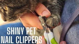 Perfect Nail Clippers for little claws [upl. by Meri634]