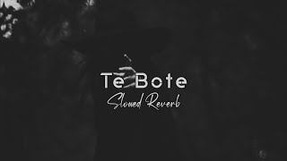 Te Bote Slowed Reverb Casper amp Darell Ozuna [upl. by Wyn887]