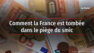 Comment la France est tombée dans le piège du smic [upl. by Neeliak]