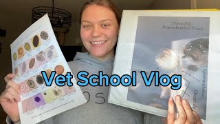 Vet School Vlog  2nd year vet student [upl. by Gareri]