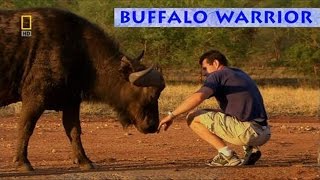 BUFFALO WARRIOR [upl. by Osnofla]