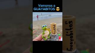 🏝Guayabitos 🇲🇽😎 playa lugaresparavisitar mexico guayabitos [upl. by Irita707]