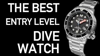 What is the BEST Entry Level Dive Watch  Citizen Promaster Diver BN0150 Review [upl. by Anilatac]