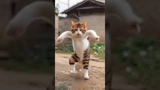 Cat Fantastic dance 😜 [upl. by Sorrows]