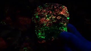 NIGHT TIME DIG FOR FLUORESCENT MINERALS  GLOW IN THE DARK ROCKS [upl. by Bradwell]