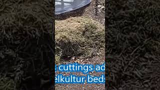 HUGELKULTUR BEDS  ALWAYS PLACE GRASS CUTTINGS ON TOP RATHER THAN COMPOSTING [upl. by Arbuckle757]