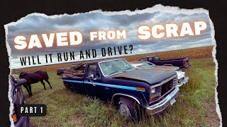 1984 F150 ABANDONED for 13 years Will it run and Drive Part 1 [upl. by Erlina]