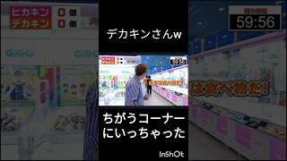 クレンゲームでどっちがヒカキンぬいぐるみを取れるのか企画だったのにデカキンはお菓子コーナーにいっちゃう [upl. by Mechling]