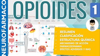 OPIOIDES ESCALERA TERAPEUTICA RESUMEN Clasificaciones Estructura Receptores Farmacología 1 [upl. by Laenahtan]