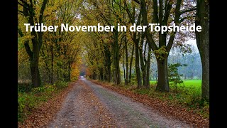 Trüber November in der Töpsheide 2024 [upl. by Ztnahc428]