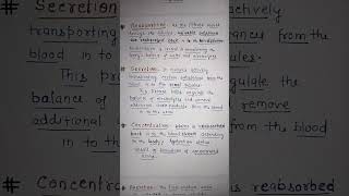 Mechanism of URINE Formation UNIT8 EXCRETORY System BSc Nursing PHYSIOLOGY [upl. by Hsirrap]