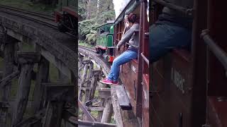 Puffing Billy  A Breathtaking Adventure Riding the Rails through the Dandenong Ranges  May 2017 [upl. by Adolphus911]