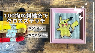 【刺繍】100均の刺繍糸だけでクロスステッチしてみた【ポケモン】 [upl. by Airemat]