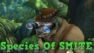 Species Of SMITE [upl. by Ubald]