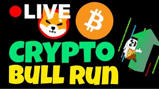 Farandula CRYPTO Bull Run 2024 Live Stream [upl. by Dloniger968]