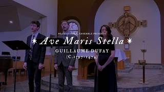 Ave Maris Stella  DuFay [upl. by Amsirp636]