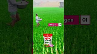 Npk 191919 water soluble fertilizer l npk l npk fertilizer [upl. by Nikola]