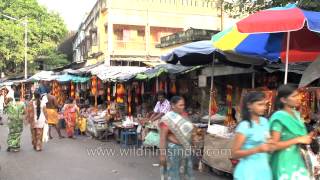 Market outside Kalighat temple  Kolkata [upl. by Suirtimid616]