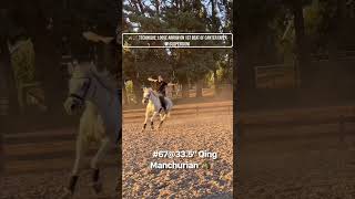 Horse Archerytiming of release of arrow at canter [upl. by Antonino]