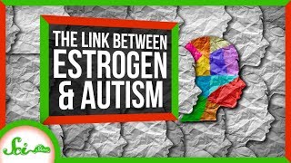 The Unexpected Connection Between Estrogen and Autism  SciShow News [upl. by Sheldon]