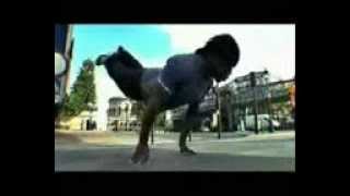 bboy junior 2008 push ups [upl. by Annyahs]