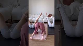 yoga for beginners split yogateacher dance challenge ballerina music artist yoga shorts [upl. by Anneehs]