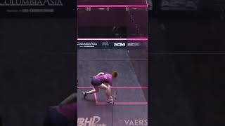 Exquisite from Malliff 🔥 squash psasquashtour [upl. by Assirolc7]