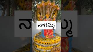 Snake visits this temple daily tirupati trending viralvideo youtubeshorts shiva karthikamasam [upl. by Dunc512]