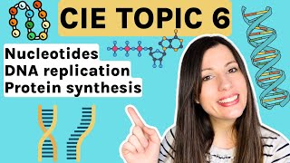 Nucleotides DNA replication and Protein Synthesis  Entire topic CIE Alevel Biology Topic 6 [upl. by Shalom]