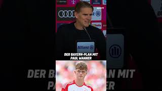 Ganz Fußballdeutschland redet aktuell über Paul Wanner 👏 shorts fcbayern [upl. by Eidolem184]