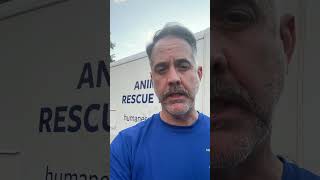 Helping pets and people after Hurricane Helene [upl. by Asilav]