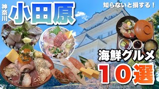 【行く前に必見】小田原の海鮮グルメ店10選！実際に食べた中から厳選♪ [upl. by Lash]