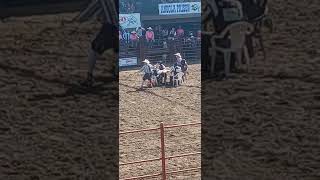 Convict Poker at Angola Rodeo bulls rodeo [upl. by Hellene]